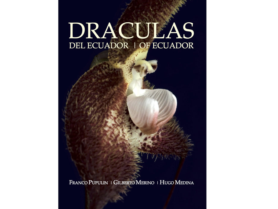 Book Draculas of Ecuador