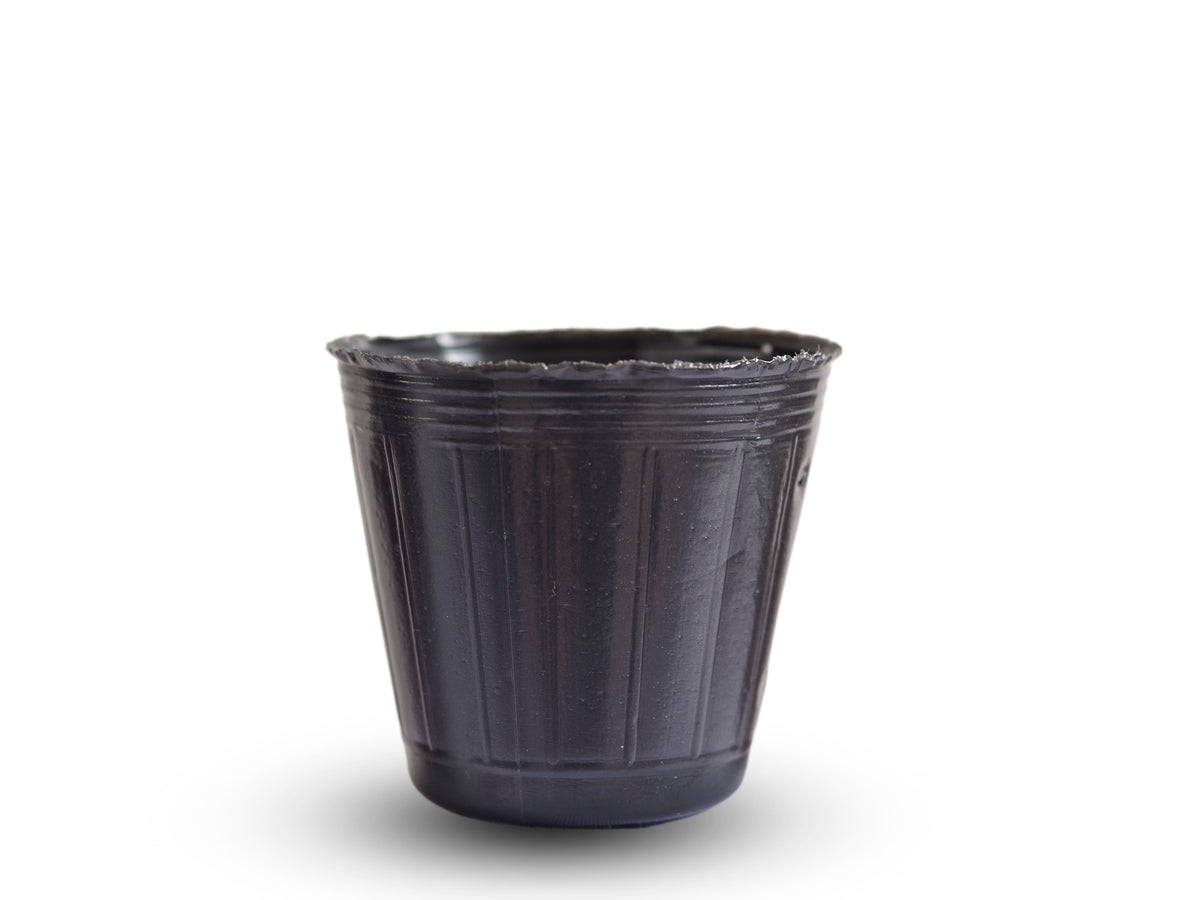 MACETA NEGRA FRAGIL 3CM