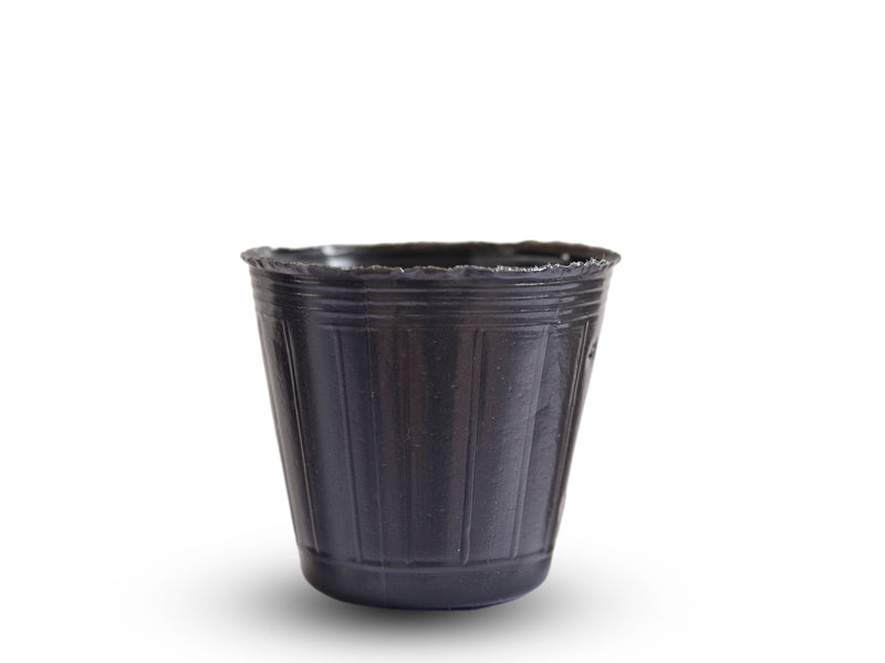 MACETA NEGRA FRAGIL 3CM