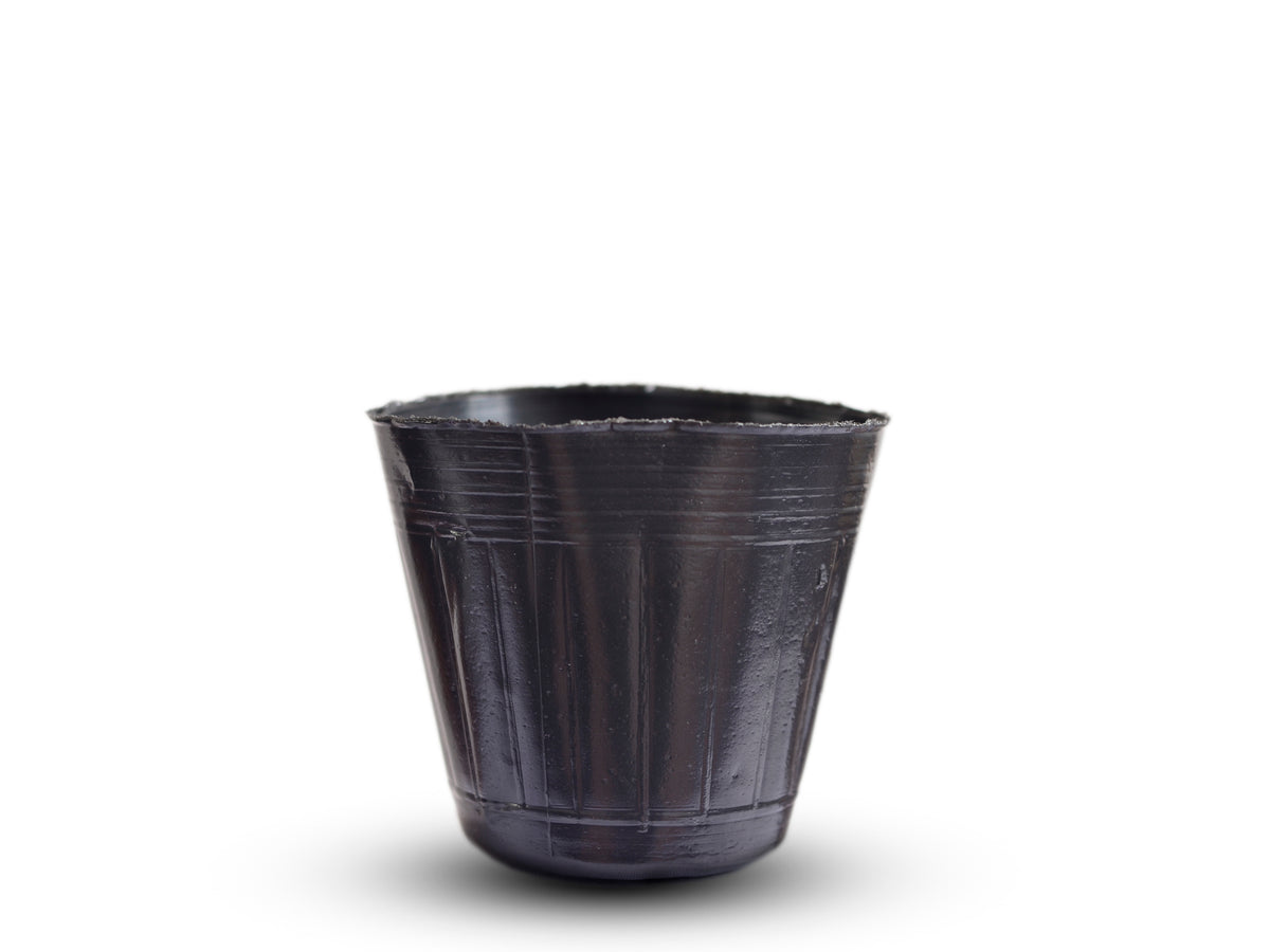 MACETA NEGRA FRAGIL 3.5CM