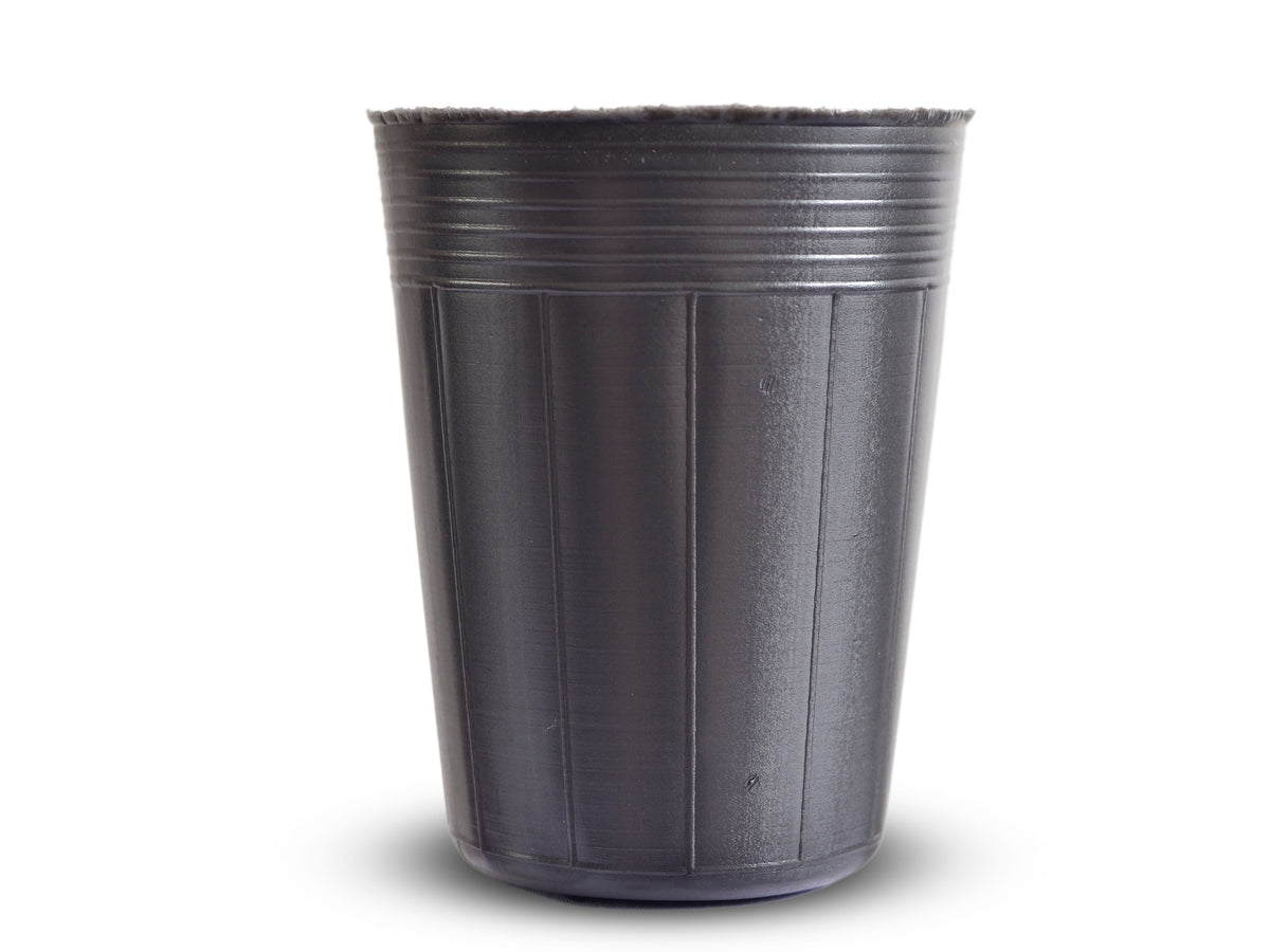 MACETA NEGRA FRAGIL 4.5CM