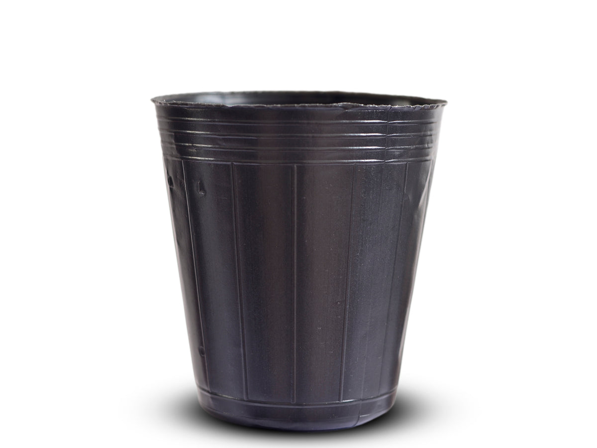 MACETA NEGRA FRAGIL 4CM