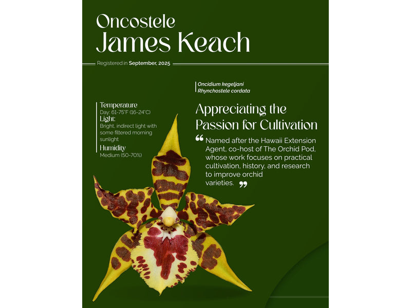 Oncostele James Keach